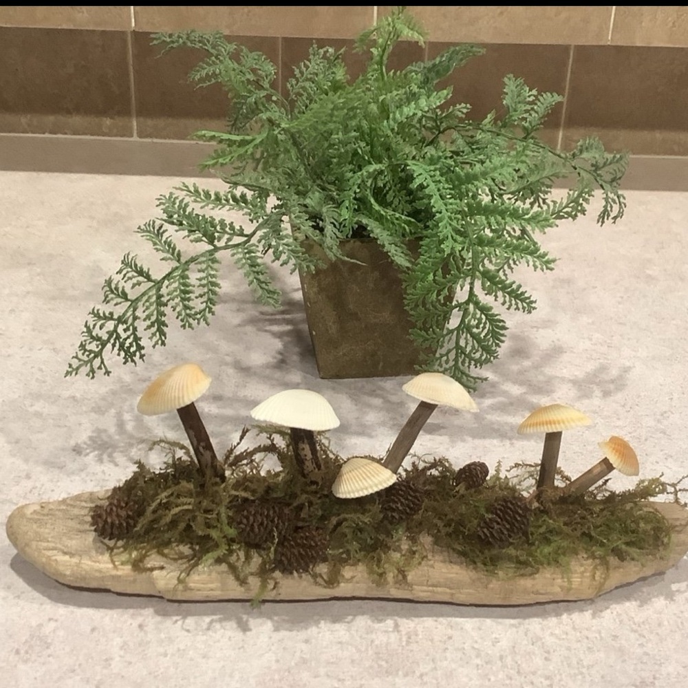 Driftwood Art, Driftwood & Seashell Mushrooms , Mushroom Art